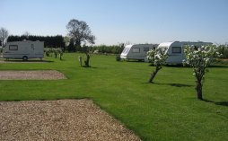 roseberrytouristparkcambridgecaravansmotorhomesrvstents005001.jpg