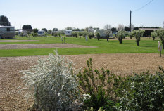 roseberrytouristparkcambridgecaravansmotorhomesrvstents005002.jpg