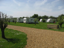 roseberrytouristparkcambridgecaravansmotorhomesrvstents005006.jpg