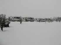 roseberrytouristparkcambridgecaravansmotorhomesrvstents005018.jpg
