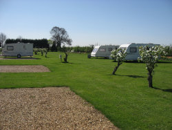 roseberrytouristparkcambridgecaravansmotorhomesrvstents002012.jpg