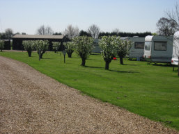 roseberrytouristparkcambridgecaravansmotorhomesrvstents002013.jpg
