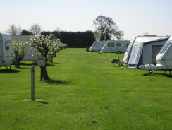 roseberrytouristparkcambridgecaravansmotorhomesrvstents003029.jpg