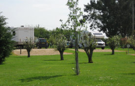 roseberrytouristparkcambridgecaravansmotorhomesrvstents008013.jpg