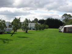 roseberrytouristparkcambridgecaravansmotorhomesrvstents008015.jpg